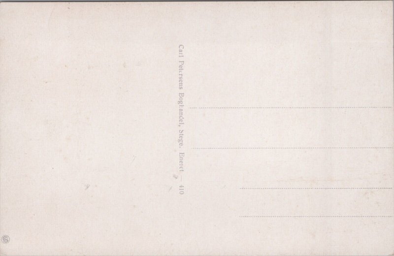 Denmark Stege Havnen Vintage Postcard C262