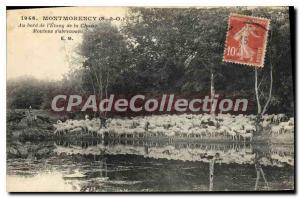 Old Postcard Montmorency At the Pond edge of Hunting Sheep s'abreuvant