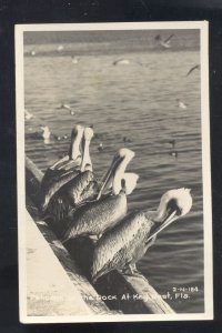 RPPC KEY WEST FLORIDA PELICANS AT ROOST VINTAGE REAL PHOTO POSTCARD