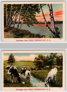 2 Postcards GREETINGS from WEST PIERREPONT, New York NY ~ St. Lawrence County