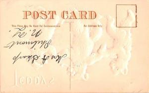 Bear Post Card Old Vintage Antique Teddy B writing on back