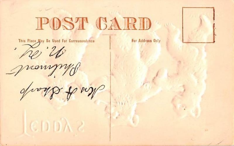 Bear Post Card Old Vintage Antique Teddy B writing on back