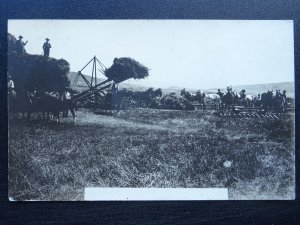 Country Life HARVESTING Haymaking Large Team & Horses - Old UB Postcard