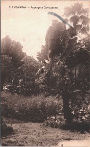 Guinea Conakry Landscape in Camayenne Vintage Postcard 09.11