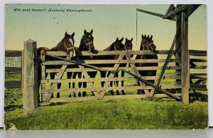 Kentucky Thoroughbreds Who Said Supper 1911 to Assumption Ill  Postcard J16