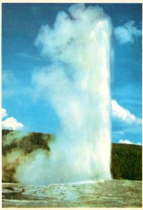 Yellowstone National Park Old Faithful Geyser