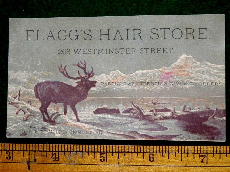 1870s-80s Flagg's Hair Store, 268 Westminster St, RI Elk Out West, Trade Card F6