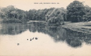 Rehoboth Beach DE, Delaware - Ducks on Gerar Lake