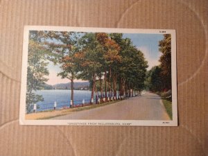 1940's Greetings from Millersburg, Ohio Scenic View Linen Postcard