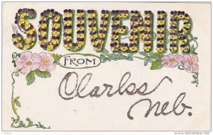 Souvenir From CLARKS, Nebraska, 1900-1910s Glitter Detail