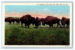 c1930's Buffaloes In The State Park Black Hills South Dakota SD Vintage Postcard 