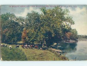 Divided-Back POSTCARD FROM Rock Island Illinois IL HM6925