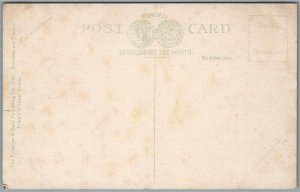 CANADA ROSEDALE TORONTO ANTIQUE POSTCARD