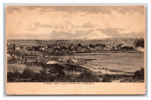 Birds Eye View Mount RainierOlympia Washington WA UNP DB Postcard O'Connor R17