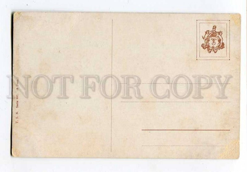 257443 HUNT Birds PHEASANT by SCHONIAN Vintage TSN PC 