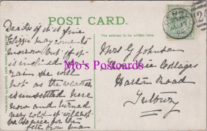 Genealogy Postcard - Johnson, Thorn Tree Cottages, Halton Road, Tetbury? GL2170