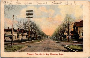 Postcard Chestnut Avenue North in New Hampton, Iowa~132013