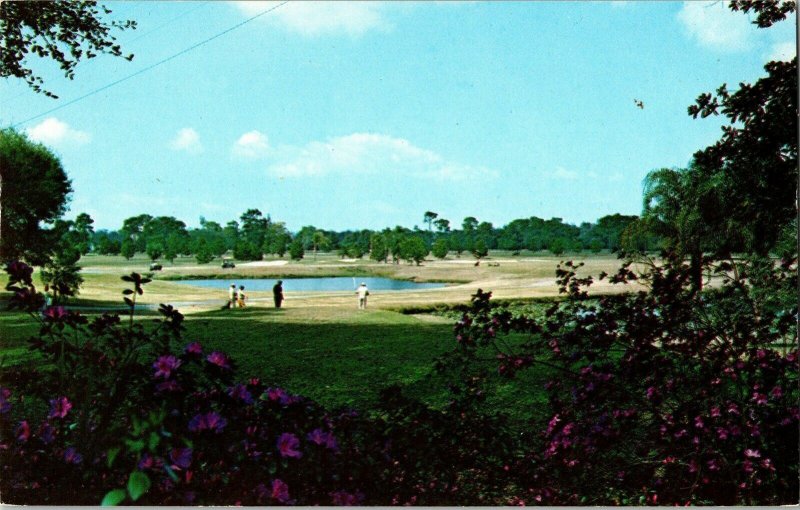 Golf Central Florida Bob Wasman Flowers UP Fern Park Postcard VTG 