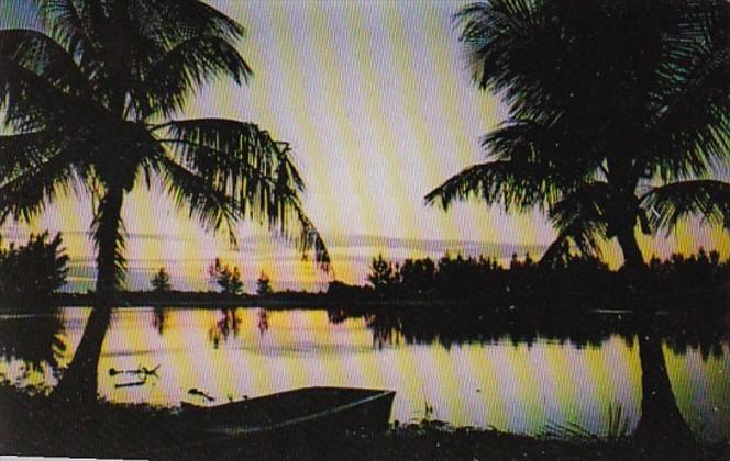 Florida Sunset On Tropical Captive From Sanibel Island