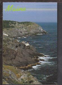 Coast of Maine Postcard BIN 1919