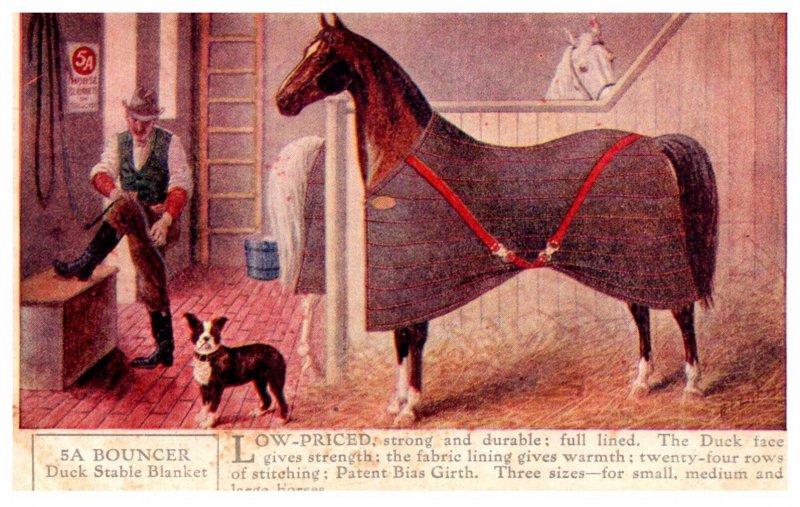 5A Bouncer Duck Stable Horse  Blanket , Connecticut New Haven McLay's