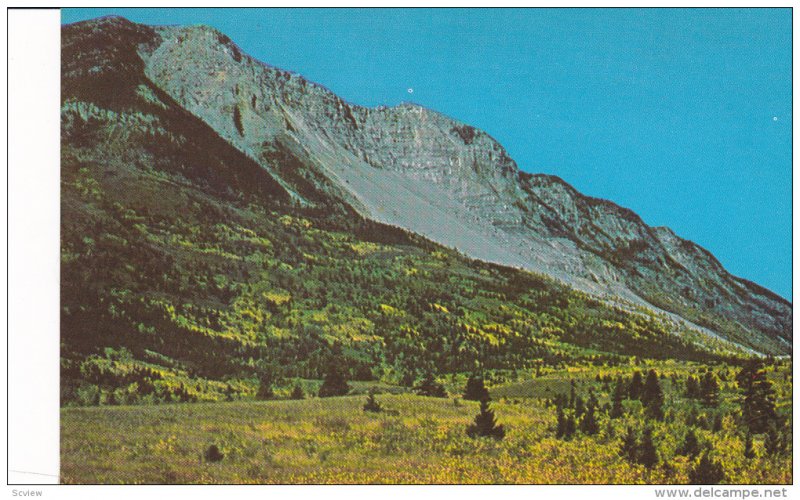 Turtle Mountain & Frank Slide from the East, Frank, Alberta, Canada, 40-60s
