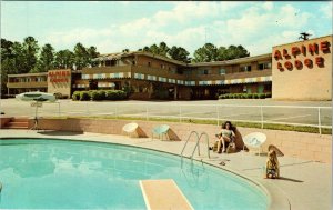 1970's Macon Georgia Alpine Lodge Travel Motel Vintage Postcard GA Advertising 