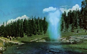 Riverside Geyser,Yellwostone National Park
