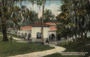 Green Cove Springs Florida FL Spring and Bathing Pavilion Vintage Postcard