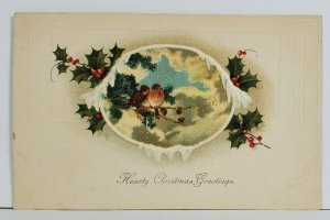 Hearty Christmas Greetings Flocked Snow Bird Scene Embossed Postcard O13