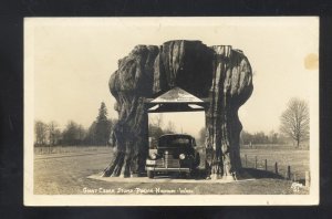 RPPC PACIFIC HIGHWAY WASHINGTON GIANT CEDAR STUMP CAR REAL PHOTO POSTCARD