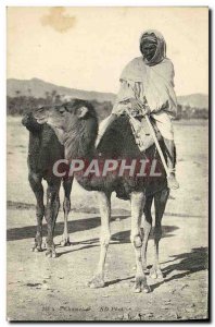 Old Postcard Camel Chamelies