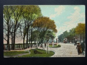 London WIMBLEDON COMMON Park Side c1906 Postcard by Mercury Series