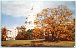 Postcard - United States Capitol - Washington, District of Columbia