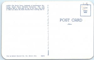 c1960s Devils Tower National Monument, WY Belle Fourche River Tree Stump A311