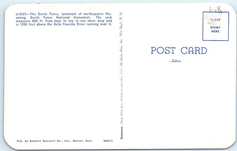 c1960s Devils Tower National Monument, WY Belle Fourche River Tree Stump A311