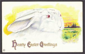 Easter Postcard White Rabbit Head with Ears Down 1916