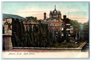 c1905's State Prison Scene Antique Auburn New York NY Unposted Prison Postcard