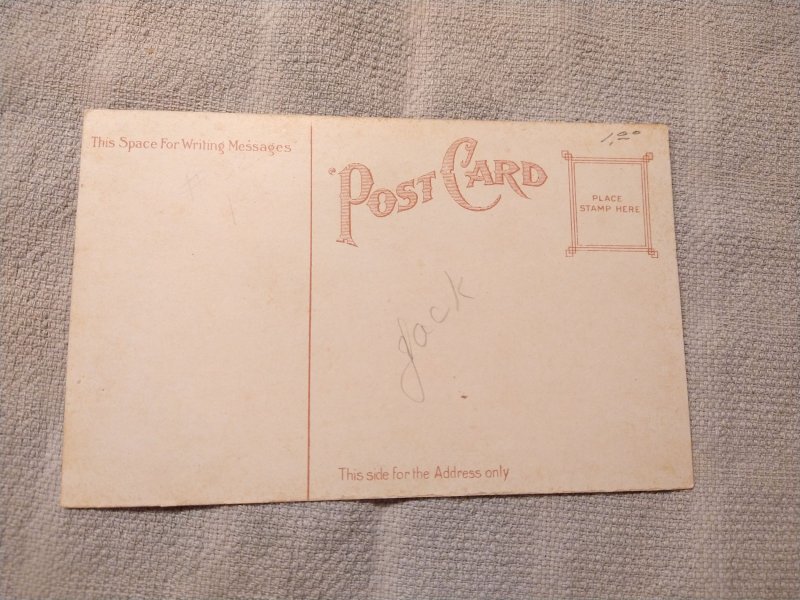 1910s Riverside Park, Toledo Ohio Divided Back Postcard