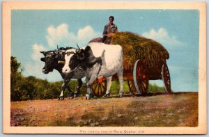 Quebec Canada CAN, Hay Making Time in Rural, Ox Pulling Cart, Vintage Postcard