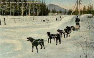 c1910 Postcard; Iditarod Sled Dog Racing Team Arriving in Seward AK unposted