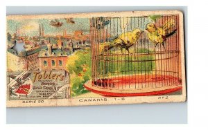 Vintage 1890's Victorian Trade Card Toblerone Swiss Chocolate - Canaries in Cage