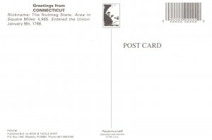 VINTAGE CONTINENTAL SIZE POSTCARD ANIMATED PICTORIAL GREETING MAP OF CONNECTICUT 