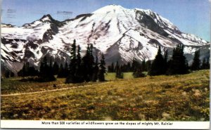 Mount Rainer Washington Flowers Mountain Landscape Chrome Cancel WOB Postcard 