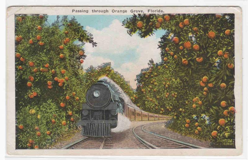 Railroad Train Orange Grove Florida 1920c postcard