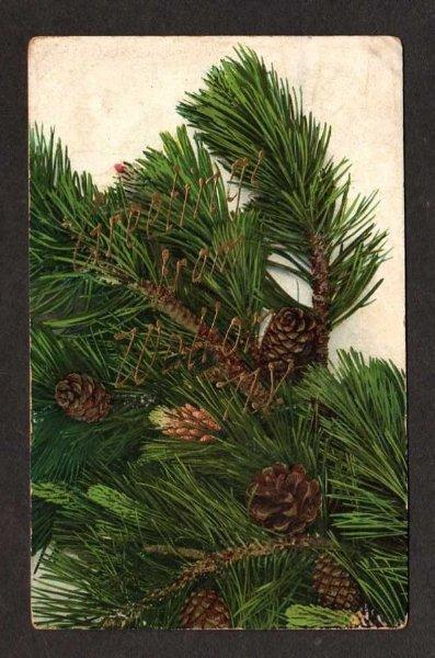 NY Greetings From WALTON NEW YORK Pine Cones Postcard