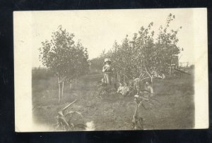 RPPC GLENHAM SOUTH DAKOTA SD APPLE ORCHARD VINTAGE REAL PHOTO POSTCARD