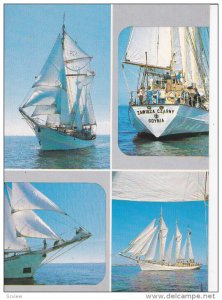 4-Views, Sailboats, Zaglowiex Zwiazku Harcerstwa Polskiego Zawisza Czarny, ...