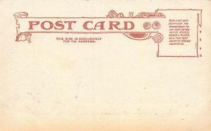 Museum of Natural History, Manhattan, New York City, Early Postcard, Unused 