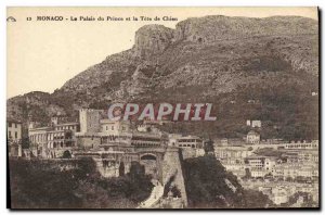 Old Postcard Monaco Palais Du Prince and Dog Tete